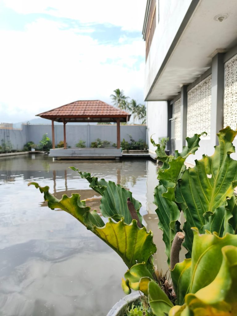 whatsapp image 2026 01 23 at 16.51.46